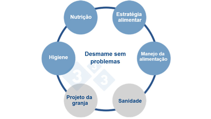 Figura&nbsp;1.&nbsp;Uma abordagem multifatorial para dieta sem zinco. Fuente:&nbsp;Vilomix.
