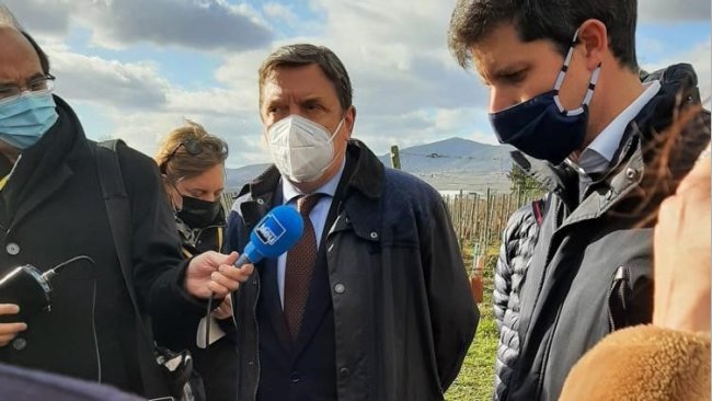 agricultura de carbono