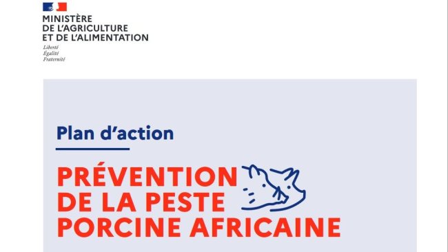 peste suína africana