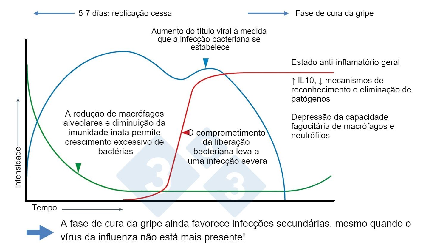 Figura 1. Modificado de McCullers, 2014
