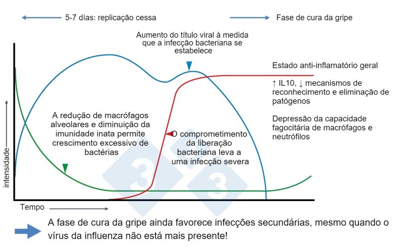Figura 1. Modificado de McCullers, 2014
