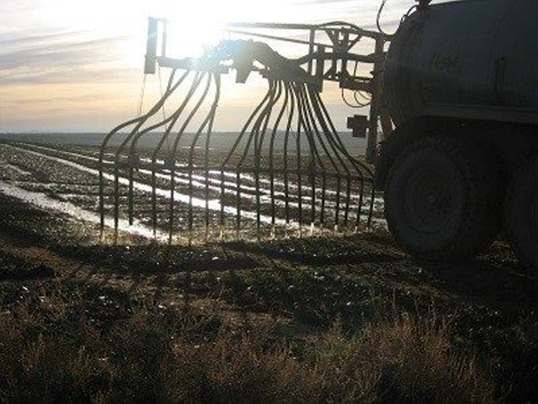 Sinal verde para plano de redução de amônia nos Países Baixos