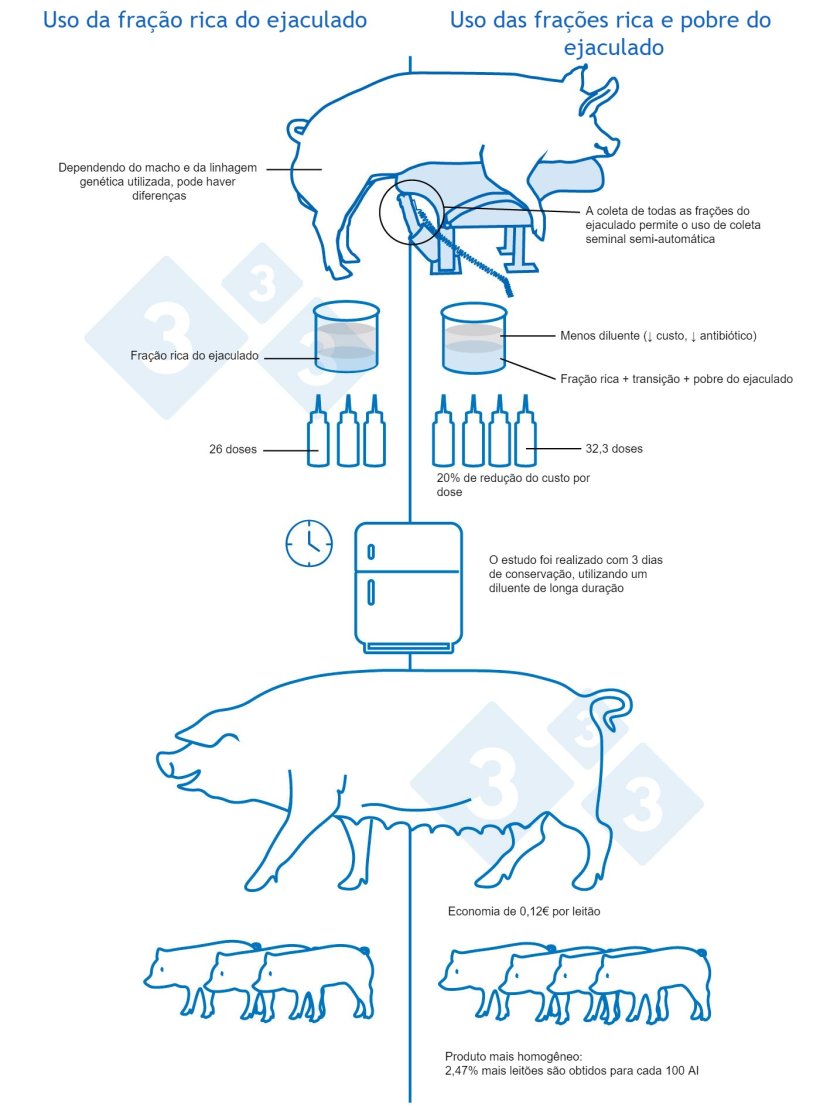 Figura 2. Vantagens e limita&ccedil;&otilde;es do uso de todas as fra&ccedil;&otilde;es do ejaculado.
