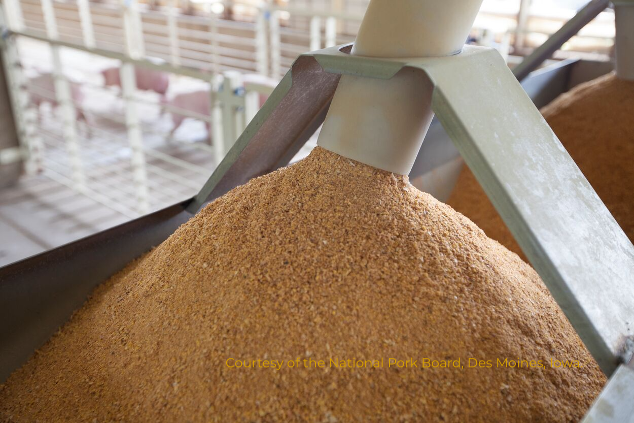 UE propõe simplificar e agilizar os requisitos de segurança alimentar