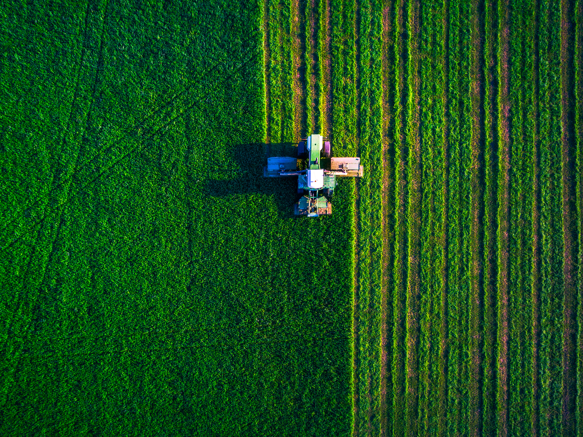 Preços da produção agrícola da UE caem e custos dos insumos aumentam