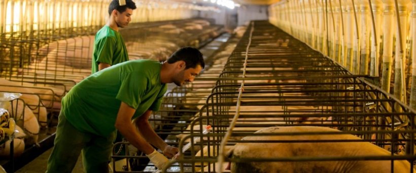 Acervo pessoal - Leandro Trindade.
