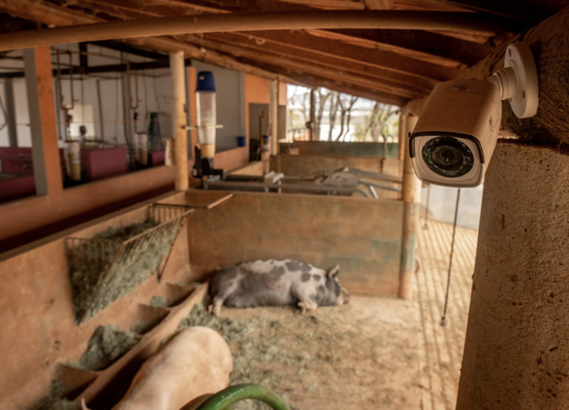 C&acirc;meras nas instala&ccedil;&otilde;es- Nutri&ccedil;&atilde;o computadorizada
