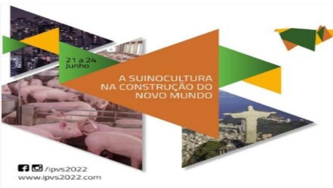 Fonte: IPVS2022.