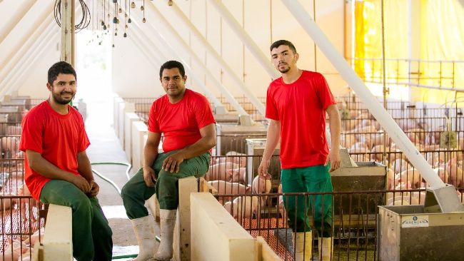 Acervo pessoal - Leandro Trindade.