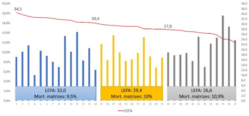 Figura 3:&nbsp;Mortalidade de matrizes de acordo com a produtividade da granja. Banco de dados Atualtech. Queir&oacute;s, 2022: apresenta&ccedil;&atilde;o oral Sinsui.
