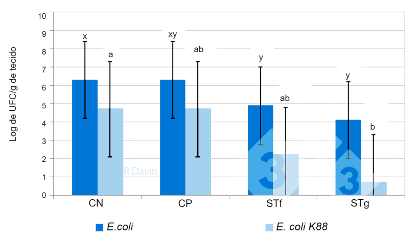 Figura&nbsp;1. E. coli total&nbsp;e E. coli espec&iacute;fica K88 aderidas &agrave; mucosa do &iacute;leo de leit&otilde;es desmamados ap&oacute;s um desafio com E. coli K88 (adaptado de Molist et al. 2011). x,y Diferentes sobrescritos em uma barra indicam uma diferen&ccedil;a significativa entre os tratamentos diet&eacute;ticos (P < 0,05).
