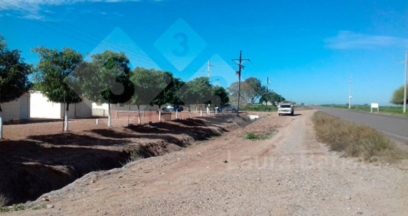 Foto 1. Barreiras f&iacute;sicas.
