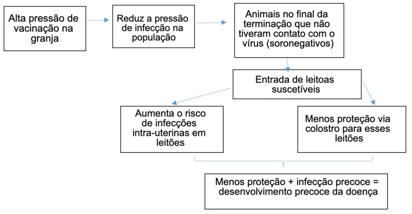 Figura 1: Evoluci&oacute;n de la epidemiolog&iacute;a de la infecci&oacute;n por PCV-2 en un contexto de vacunaci&oacute;n sistem&aacute;tica.
