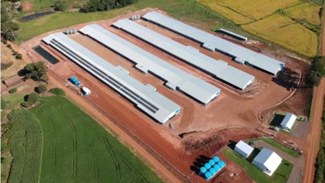 Granja de integrado da Seara com painel fotovoltaico — Foto: Divulgação.