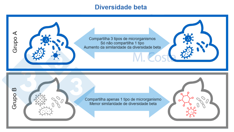 Figura 3. Compreender as mudan&ccedil;as na composi&ccedil;&atilde;o microbiana entre amostras (diversidade beta). Uma comunidade microbiana mais semelhante compartilha mais tipos de microrganismos entre as amostras. Normalmente, outros aspectos (como rela&ccedil;&otilde;es gen&eacute;ticas entre microrganismos) s&atilde;o levados em considera&ccedil;&atilde;o para calcular o &iacute;ndice de diversidade beta.
