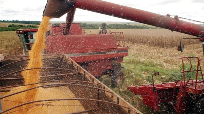 Safra de grãos para 2020 e 2021.Foto: EBC.