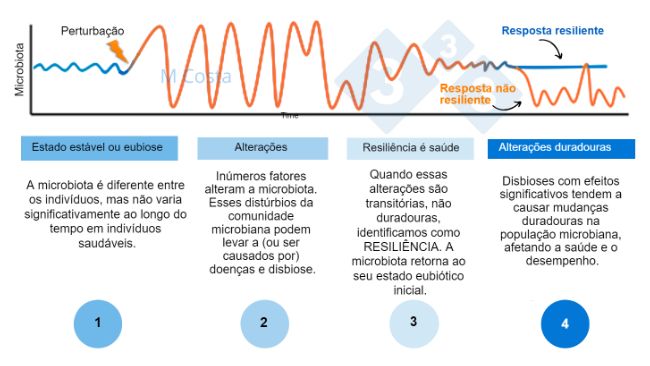 Figura 1 - Diagrama hipot&eacute;tico representando a resposta da microbiota a um dist&uacute;rbio. 1) Indiv&iacute;duos saud&aacute;veis ​​t&ecirc;m um grau normal de varia&ccedil;&atilde;o em sua microbiota, o que n&atilde;o leva &agrave; doen&ccedil;a (isso &eacute; chamado de eubiose). 2) Um dist&uacute;rbio (por exemplo, estresse t&eacute;rmico) pode levar &agrave; instabilidade da microbiota, causando doen&ccedil;as. 3) A microbiota resiliente retornar&aacute; a um estado semelhante ao anterior ao dist&uacute;rbio, no qual n&atilde;o h&aacute; doen&ccedil;a. 4) A microbiota que n&atilde;o &eacute; resiliente n&atilde;o &ldquo;se recupera&rdquo; e sofrer&aacute; de disbiose e doen&ccedil;as.
