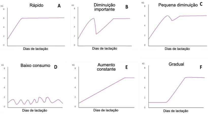 Figura 1. Padr&otilde;es de alimenta&ccedil;&atilde;o de f&ecirc;meas&nbsp;em lacta&ccedil;&atilde;o descritas por Koketsu et al (1996a). A) R&aacute;pido aumento no consumo; B) diminui&ccedil;&atilde;o significativa; C) pequena queda no consumo; D) baixo consumo ao longo da lacta&ccedil;&atilde;o; E) baixo consumo na primeira semana de lacta&ccedil;&atilde;o e aumento constante do restante da lacta&ccedil;&atilde;o; e F) aumento gradual do consumo.
