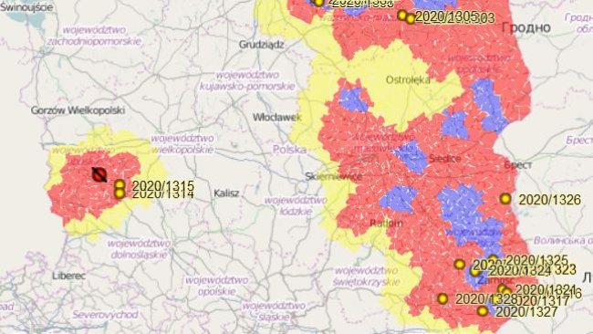 Primeiro foco de PSA em suínos domésticos ao oeste do país.