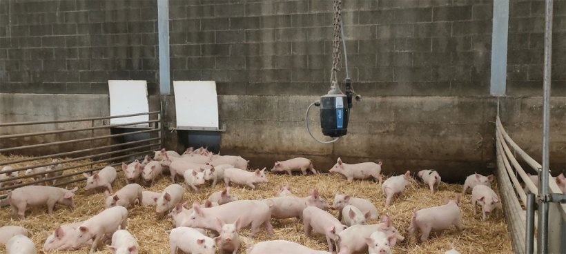 Foto 8. Sensores em todas as baias,.
