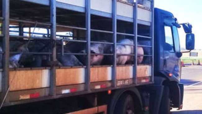 Logística facilitada