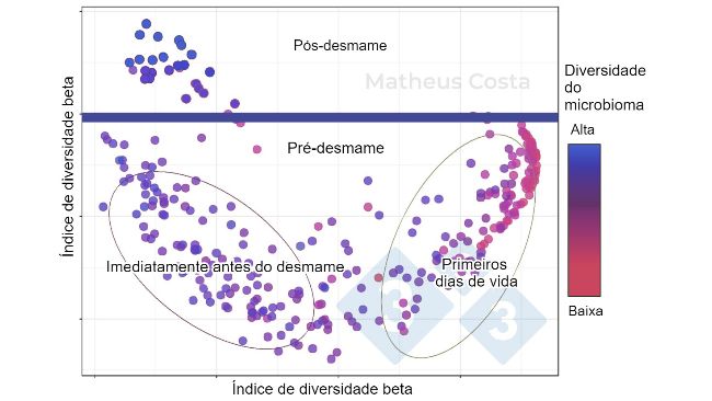 Figura 1. Gr&aacute;fico de dispers&atilde;o mostrando as associa&ccedil;&otilde;es entre a composi&ccedil;&atilde;o do microbioma dos su&iacute;nos durante os primeiros dias de vida (0-7 dias), imediatamente antes do desmame (21 dias) e ap&oacute;s o desmame (100 dias). A maior mudan&ccedil;a &eacute; observada entre as amostras pr&eacute;-desmame e p&oacute;s-desmame. A diversidade alfa atinge o pico ap&oacute;s o desmame (mostrado como "diversidade do microbioma").

