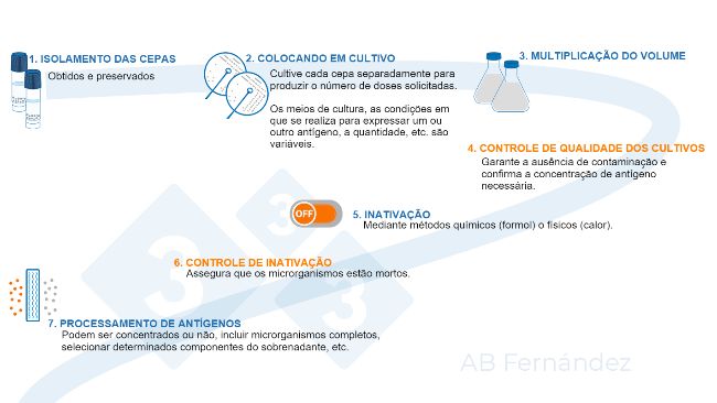 Figura 1. Esquema de fabrica&ccedil;&atilde;o de uma aut&oacute;gena.
