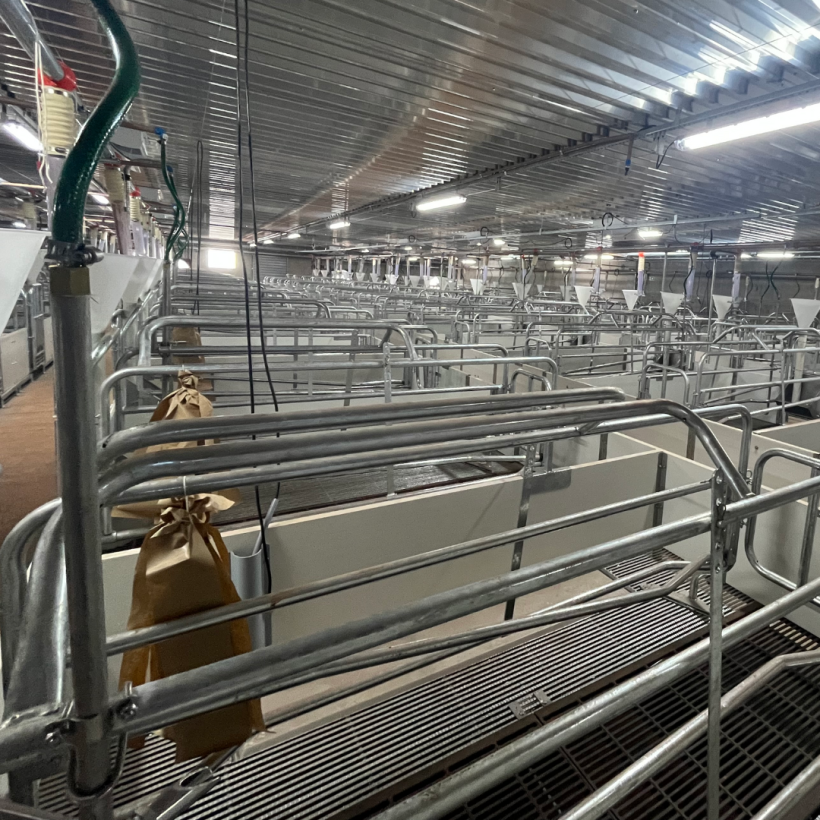 Figura 4: Estrutura moderna das instala&ccedil;&otilde;es, visando o bem-estar animal.&nbsp;
