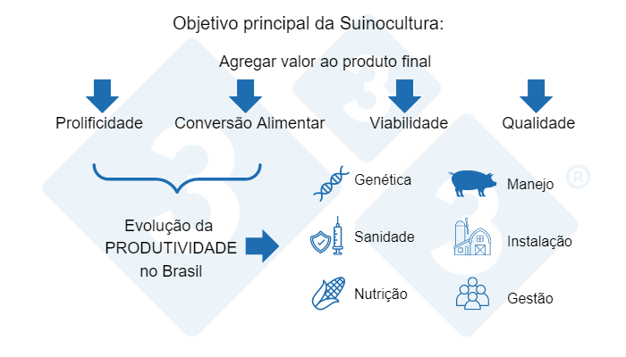 Figura 1: Pilares b&aacute;sicos da produ&ccedil;&atilde;o de su&iacute;nos.&nbsp;
