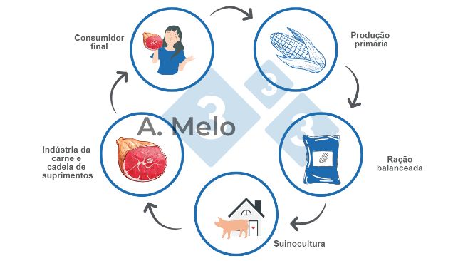 Gr&aacute;fico 1: Gr&aacute;fico da cadeia alimentar desde a produ&ccedil;&atilde;o prim&aacute;ria at&eacute; a mesa do consumidor final.
