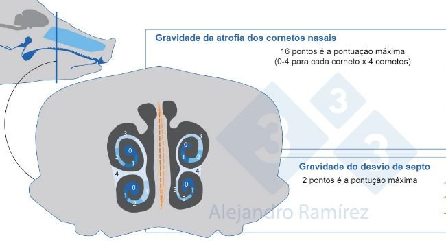 Método da Farmacopeia Europeia para avaliação de lesões de cornetos.