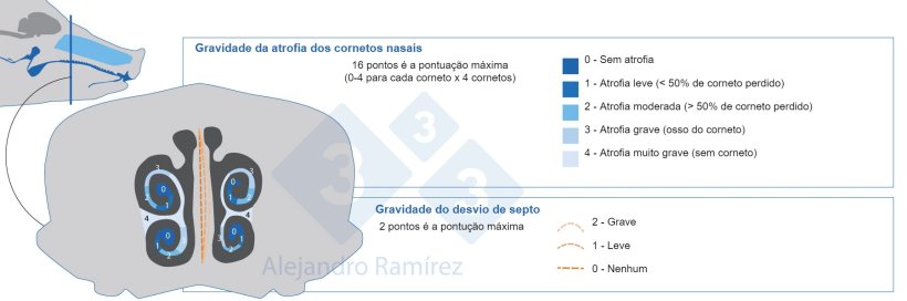 M&eacute;todo da Farmacopeia Europeia para avalia&ccedil;&atilde;o de les&otilde;es de cornetos.
