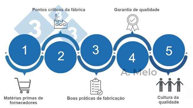 Figura 1. Os cinco pontos para alcançar a segurança na alimentação balanceada.