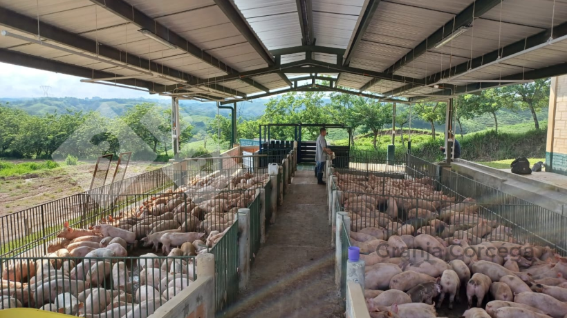 Foto 1. &Aacute;rea de jejum.&nbsp;
