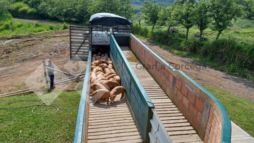 Foto 2. Rampa de embarque.
