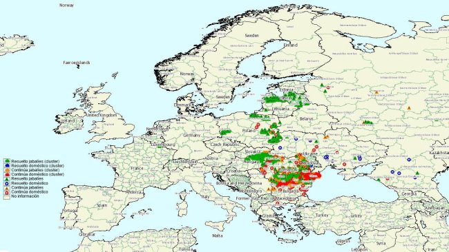 Surtos de PSA na UE no primeiro trimestre de 2020