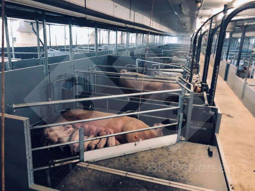 Figura 1. Baias na Alemanha.
