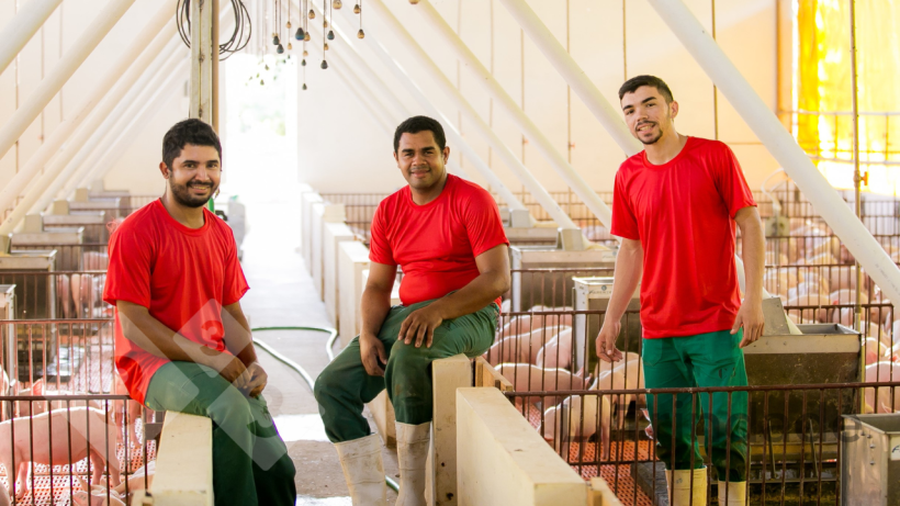 Quando os funcion&aacute;rios est&atilde;o em um local seguro e confi&aacute;vel, geralmente se expressam abertamente sobre o que pensam, sentem e acreditam, fornecendo contribui&ccedil;&otilde;es valiosas para melhorar o trabalho e os resultados da equipe.
