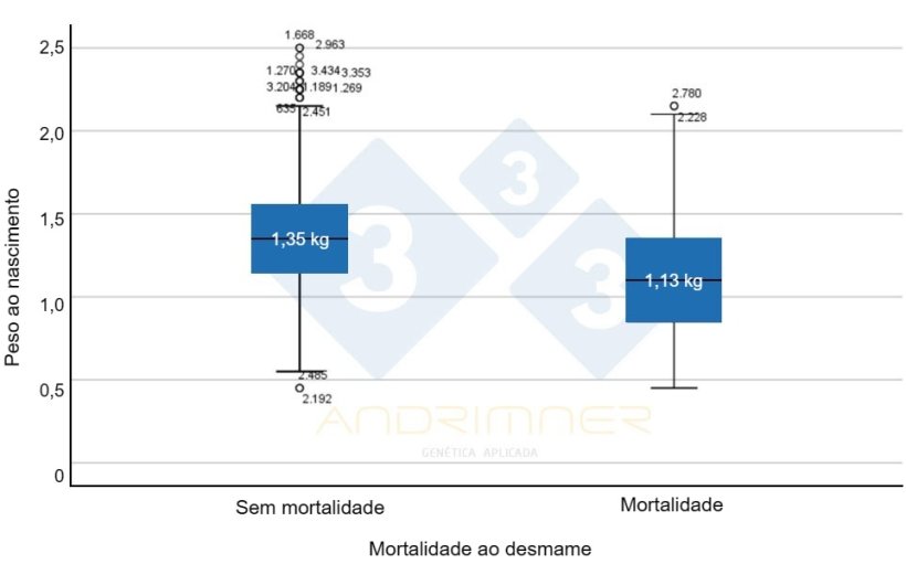 Gr&aacute;fico 4. Peso m&eacute;dio ao nascer dos sobreviventes (&ldquo;sem v&iacute;timas&rdquo;) e peso m&eacute;dio ao nascer das v&iacute;timas. Diferen&ccedil;as altamente significativas entre os dois grupos (F=155,713; p<0,001) Fonte: Javier Lorente. Granja comercial, 3.483 leit&otilde;es pesados ​​individualmente 2021.
