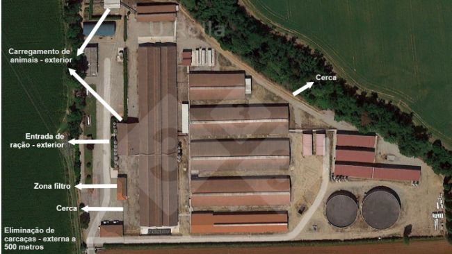 Fig. 1 Vista aérea da granja de matrizes. 