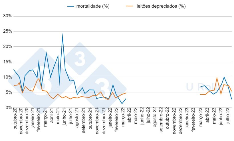 Fig. 5: Mortalidade (%) e propor&ccedil;&atilde;o de leit&otilde;es de segunda categoria desmamados antes (outubro de 2020 a mar&ccedil;o de 2022) e depois (mar&ccedil;o a julho de 2023) do despovoamento/repovoamento.
