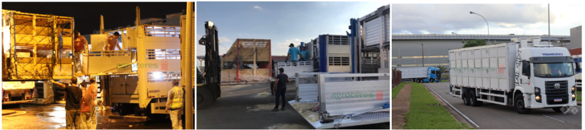 Imagens cedidas pela empresa Agroceres PIC.
