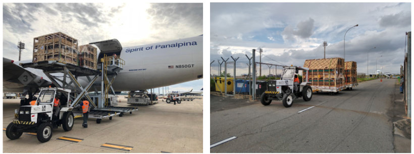 Imagens cedidas pela empresa DNA&nbsp;South America.
