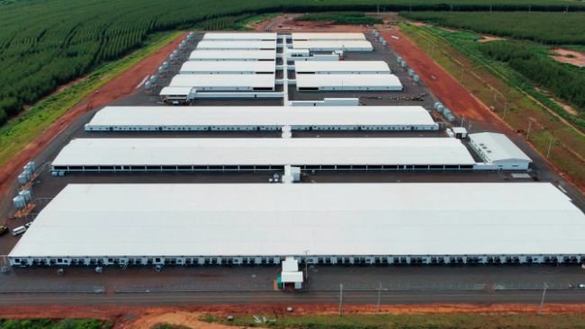 Maior núcleo genético de suínos da América, granja de Paranavaí inicia comercialização em abril
Foto: Divulgaçaõ/Agroceres,