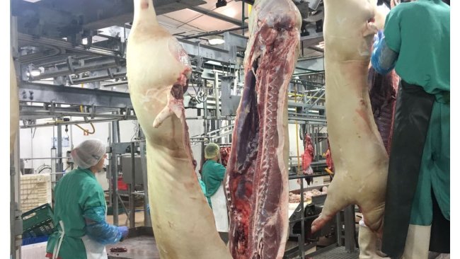 Frigorífico na França.