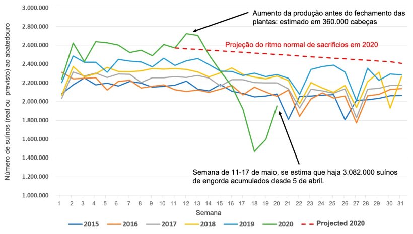 Figura 1. N&uacute;mero de animais abatidos nos&nbsp;abatedouros nos EUA por semana, de janeiro a julho de 2015 a 2020 ou abate esperado em circunst&acirc;ncias normais (linha pontilhada vermelha). Fonte de dados: Pesquisa de abate do USDA NASS e AMS LM_HG201
