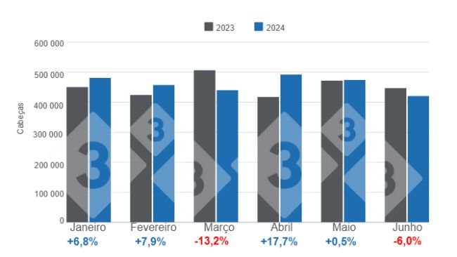 Gráfico 1. Abate mensal da carne suína no primeiro semestre de 2024 – variações anuais. Elaborado pelo Departamento de Economia e Inteligência de Mercado com dados do Escritório de Estudos e Políticas Agrárias do Chile (ODEPA).
