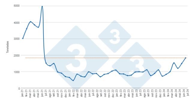 Gráfico 1. Evolução das exportações mensais de carne suína no período de janeiro de 2021 a julho de 2024. Elaborado pelo Departamento de Economia e Inteligência de Mercado da 333 América Latina com dados da Secretaria de Agricultura, Pecuária e Pesca do Ministério da Economia da Argentina.