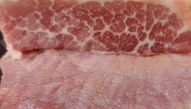 Figura 2: Amostra de lombo de su&iacute;no gourmet. Arquivo pessoal do autor.
