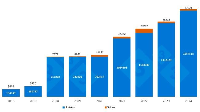 Importações espanholas de suínos e leitões holandeses entre janeiro e setembro. Fonte: 333 com base em dados do RVO.